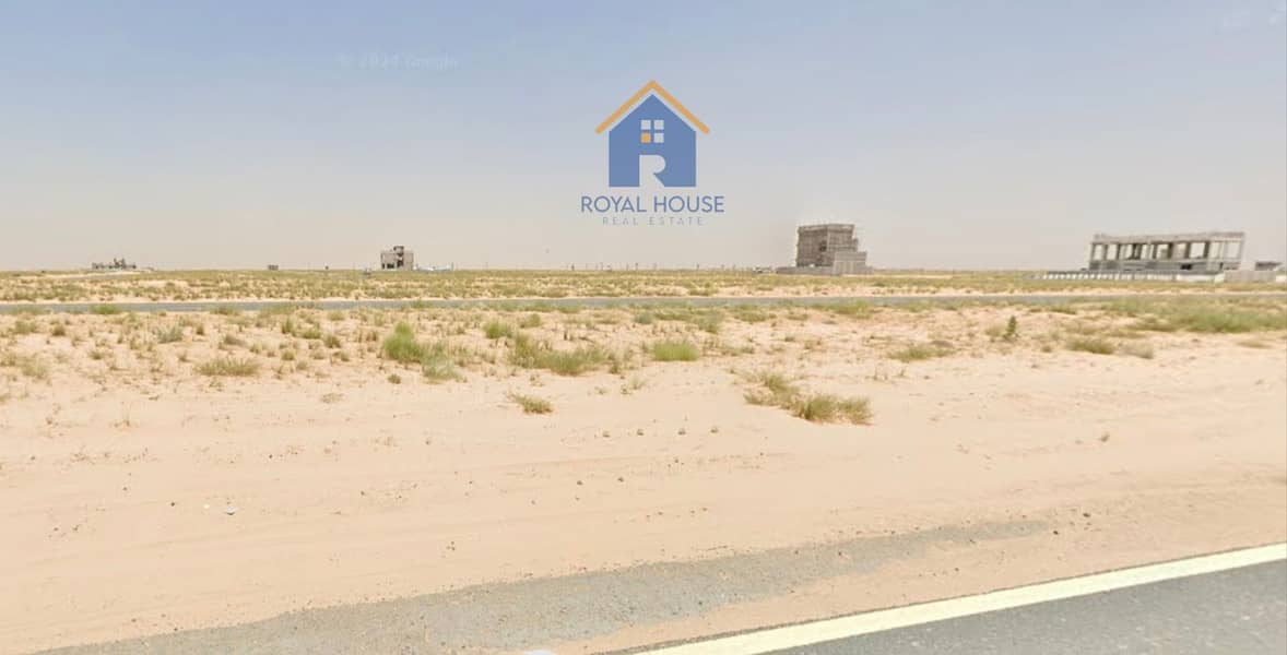 3 58597. jpg