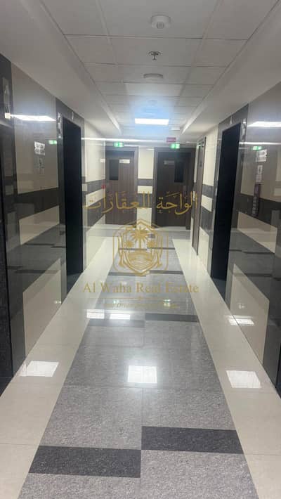 Labour Camp para en Alquiler en Corniche Ajman, Ajman - WhatsApp Image 2026-10-14 at 7.55. 47 PM. jpeg
