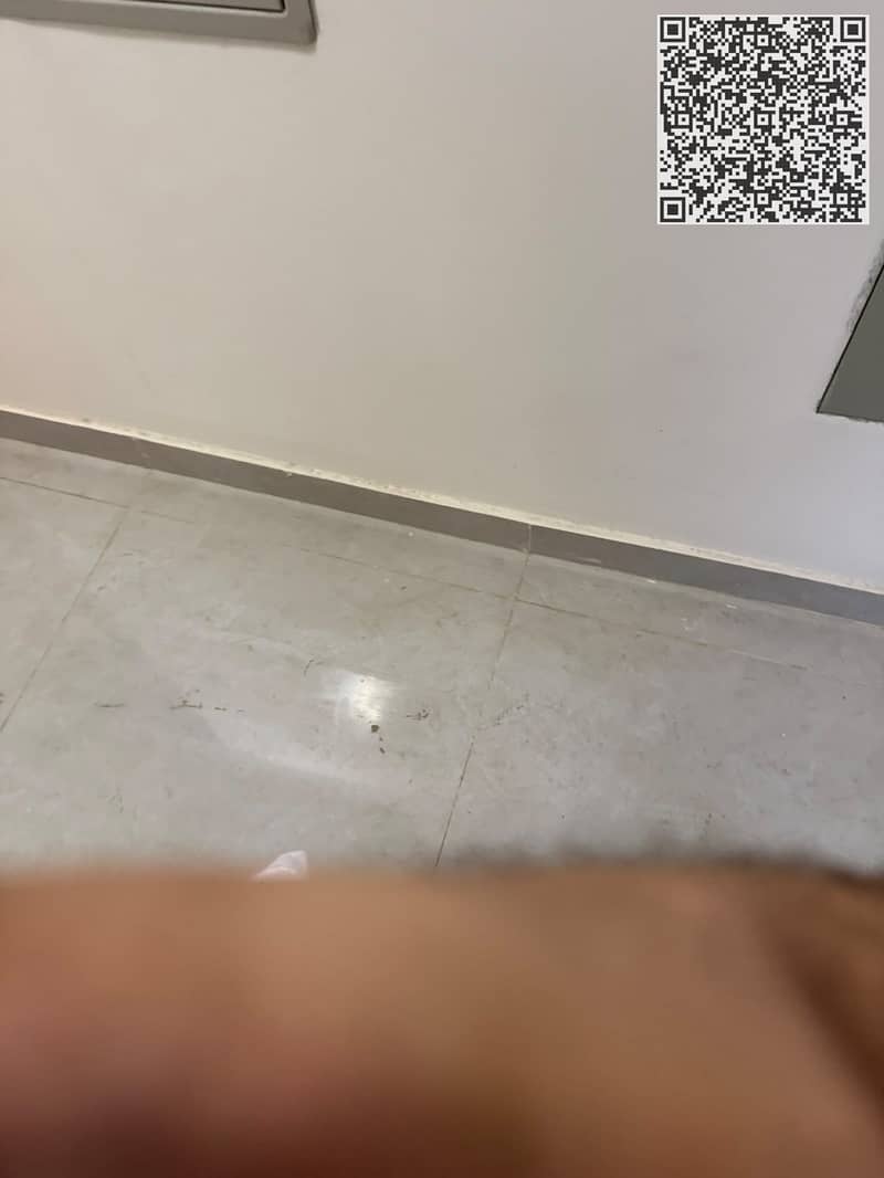 12 1000035720. jpg