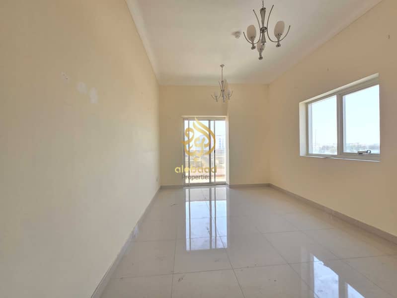 4 553038. jpg