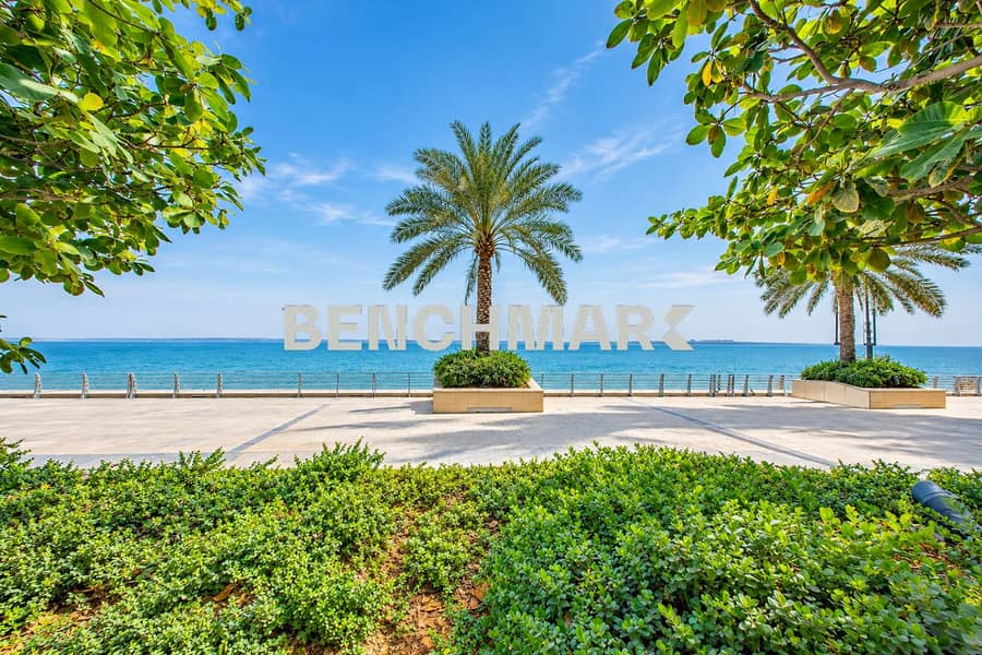 2 Tropical Waterfront Promenade with Palm Trees. png