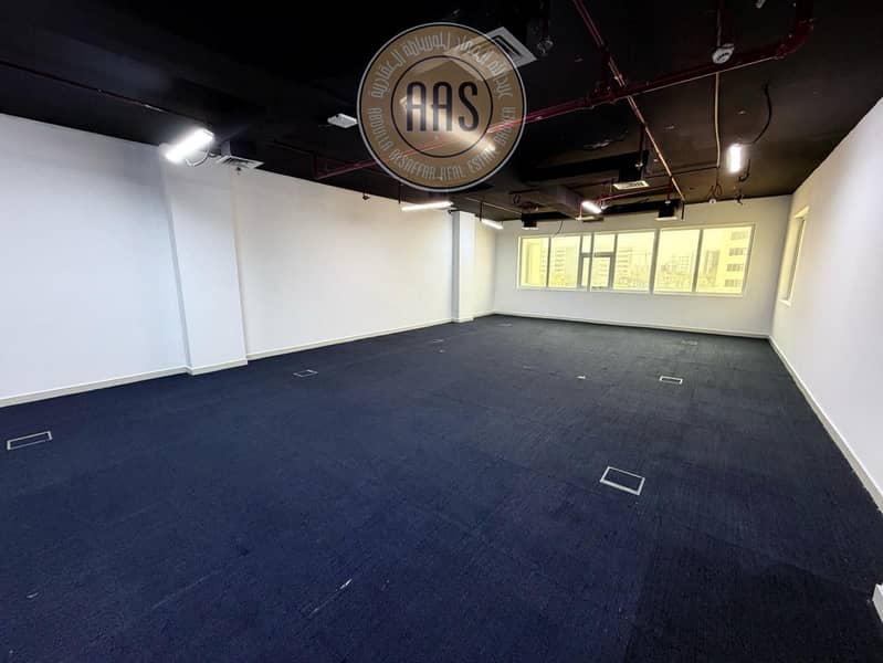 4 169685. jpg