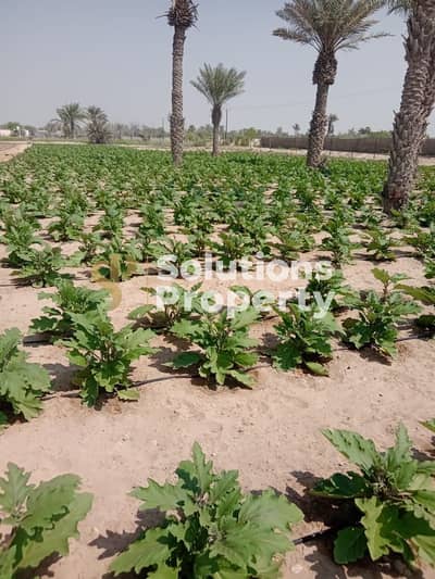 Other Commercial for Sale in Al Samha, Abu Dhabi - 1. jpeg Other Commercial for Sale in Al Samha, Abu Dhabi - 1. jpeg