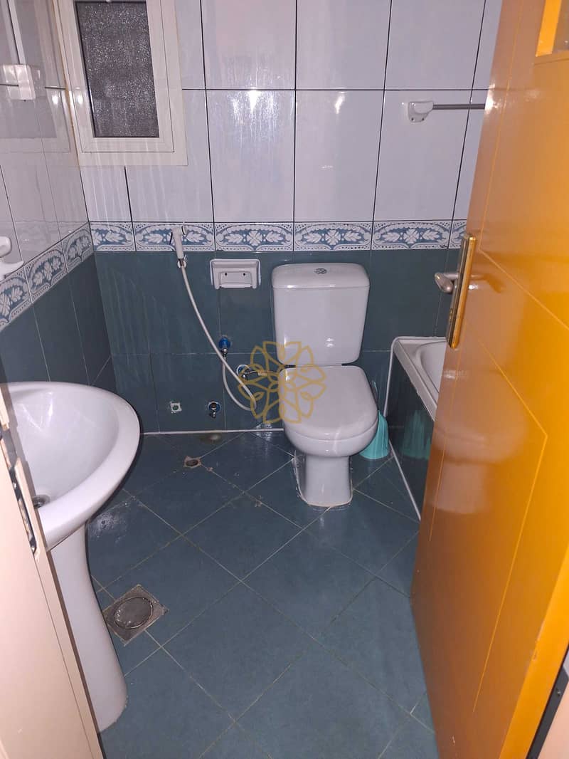 9 154862. jpg