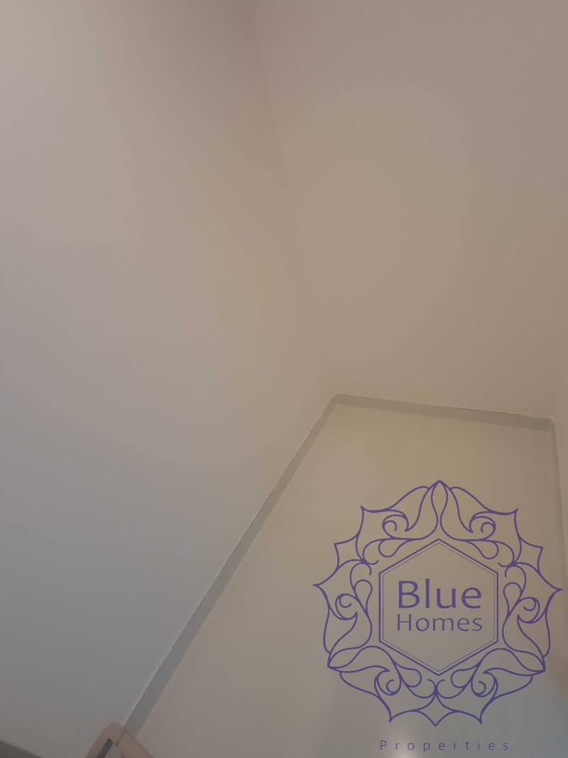 7 1000354148. jpg
