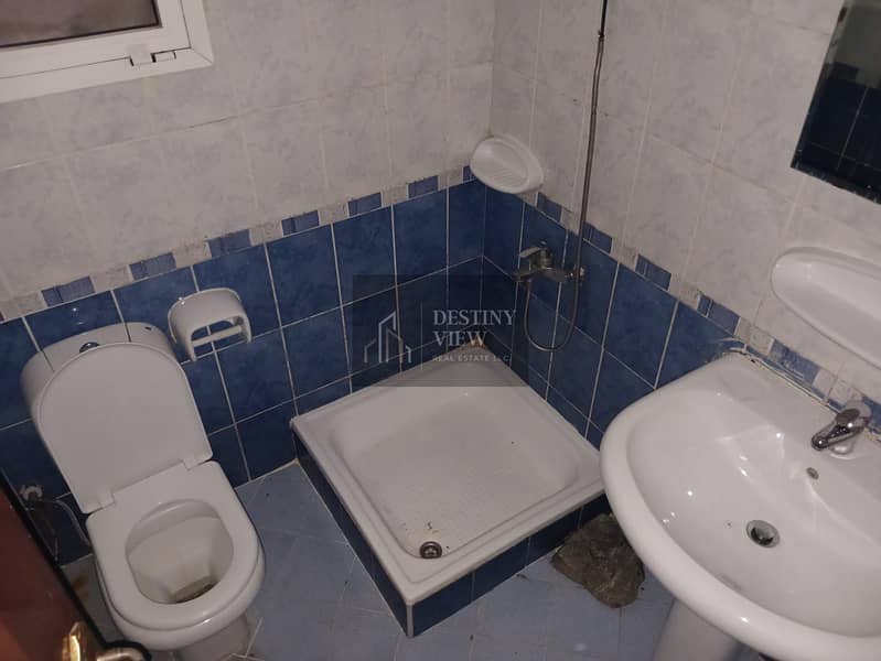 5 185192. jpg
