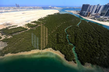 阿尔雷姆岛， 阿布扎比 2 卧室公寓待租 - 位于阿尔雷姆岛，城市之光社区，滨海湾大厦，滨海湾大厦1号 2 卧室的公寓 120000 AED - 16870220