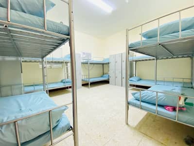 Labour Camp in affitto a Musaffah, Abu Dhabi - M 39 (13). jpeg