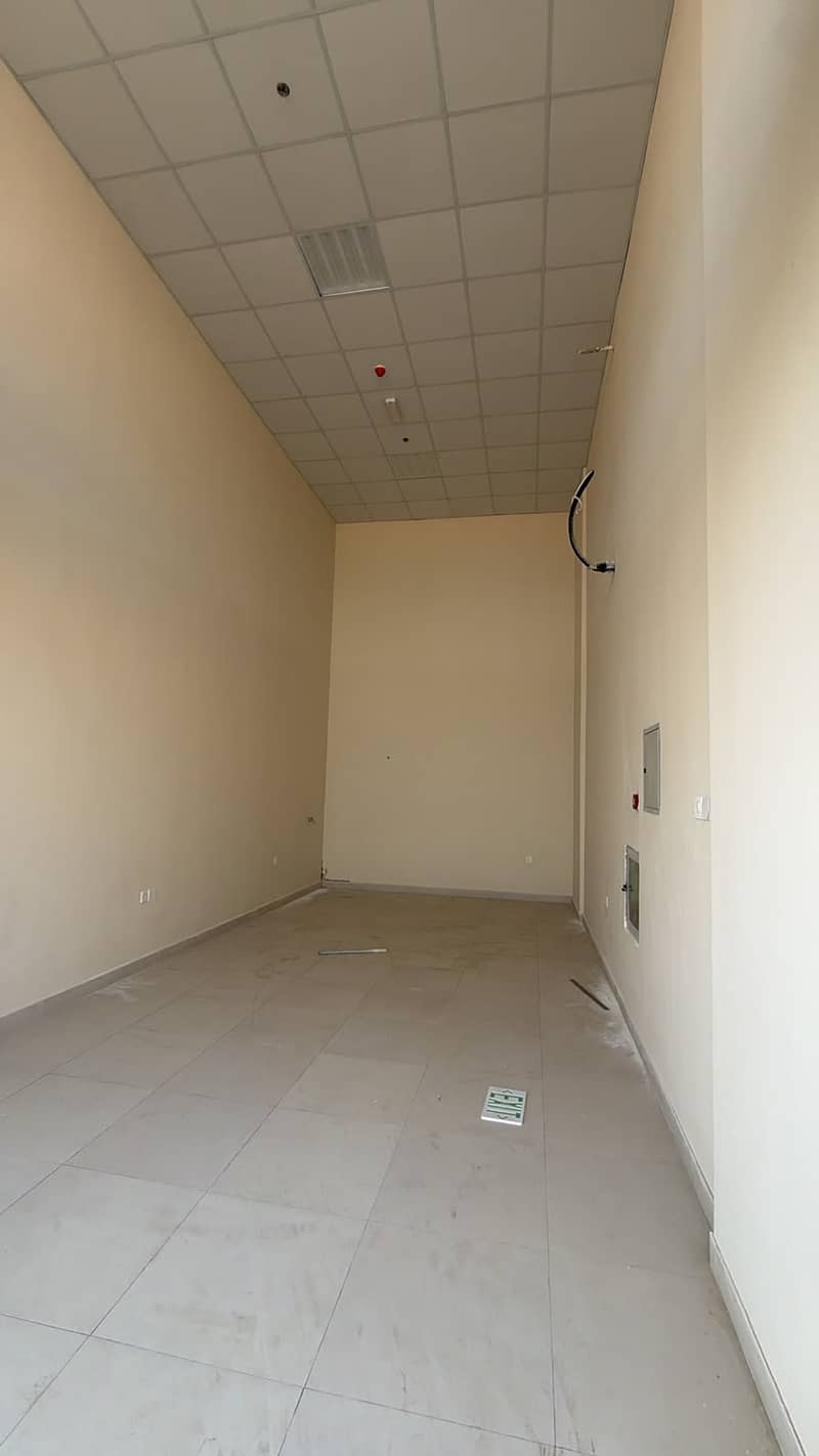 2 WhatsApp Image 2026-10-12 at 2.36. 41 PM (1). jpeg