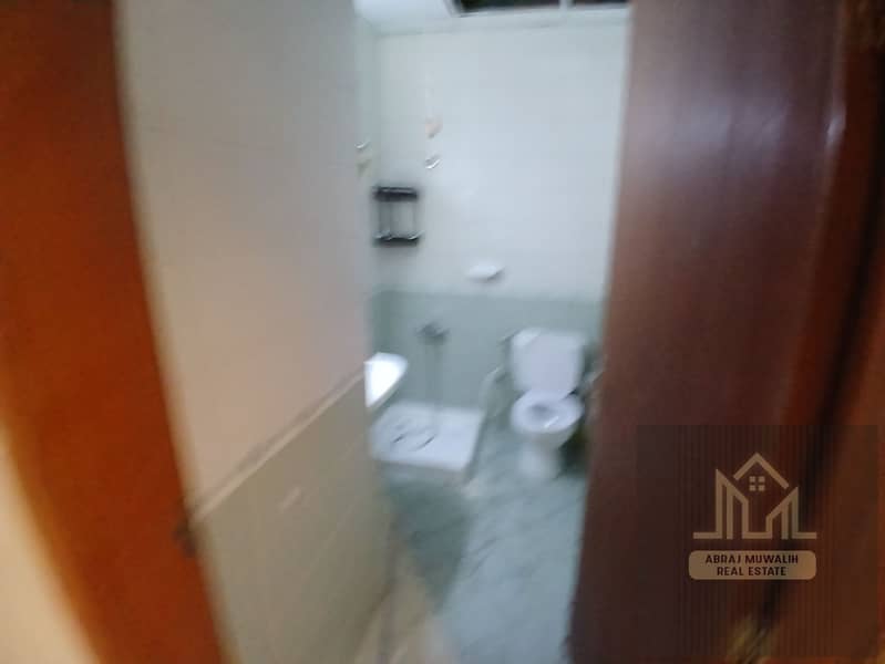 3 153958. jpg