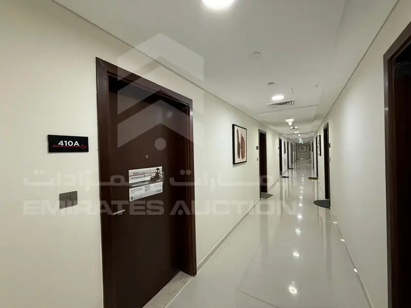 VIRIDIS D - Studio