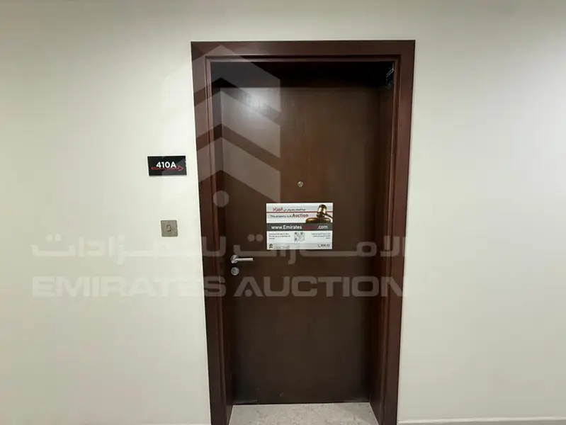 VIRIDIS D - Studio