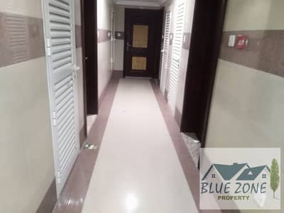 1 Bedroom Flat for Rent in Bu Tina, Sharjah - 1000084419. jpg 1 Bedroom Flat for Rent in Bu Tina, Sharjah - 1000084419. jpg