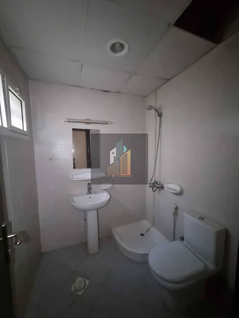 7 194306. jpg