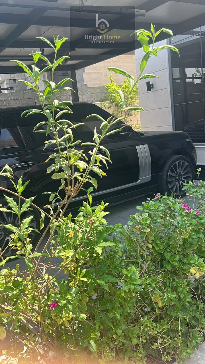 20 1000610200. jpg