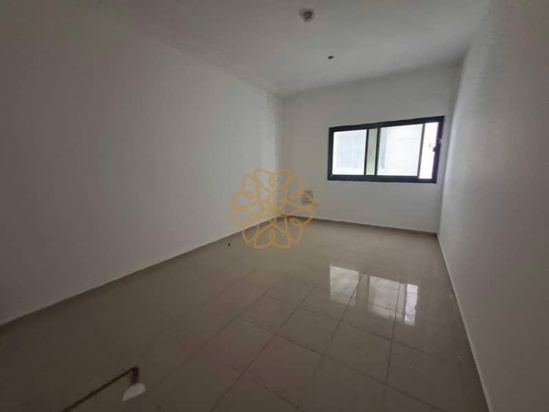 5 155145. jpg