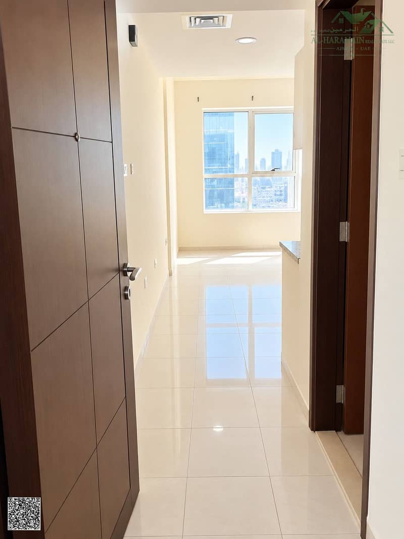3 Sunlit Modern Apartment Entryway. jpg