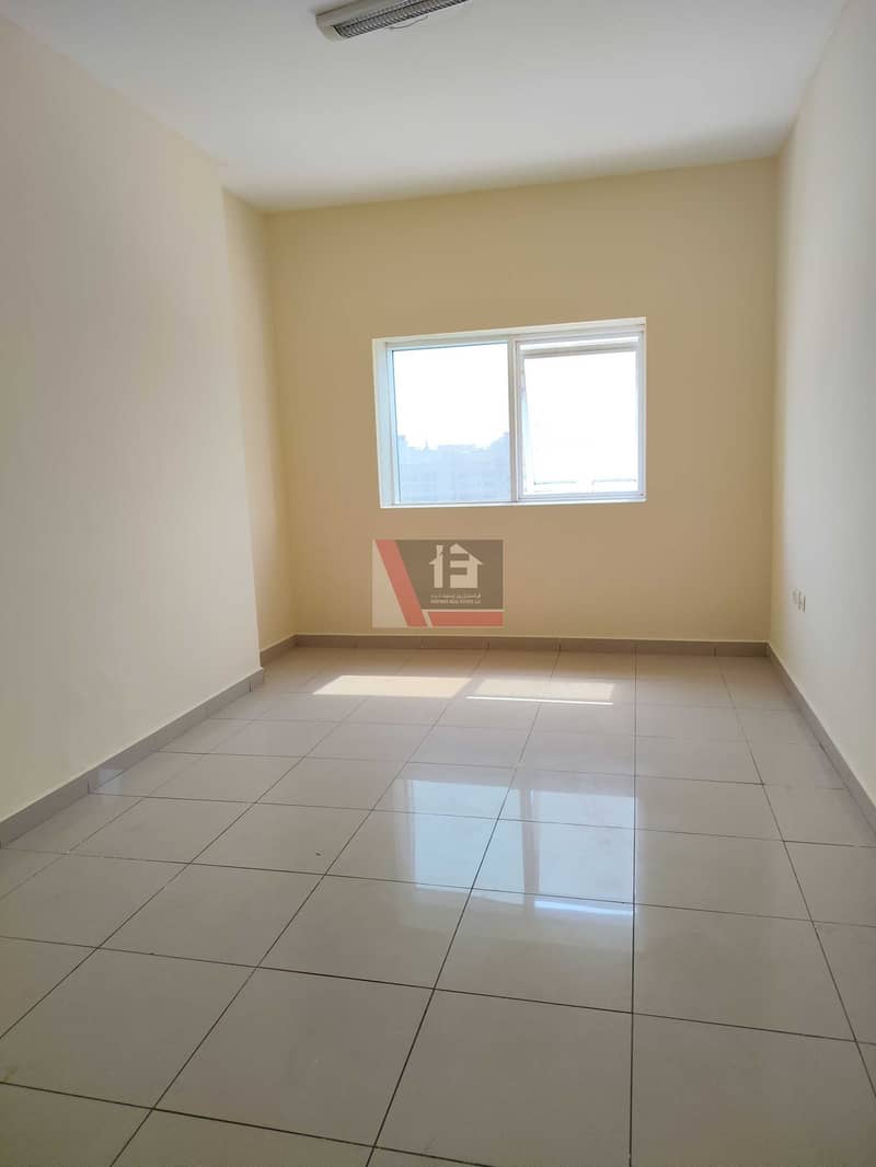 9 126499. jpg