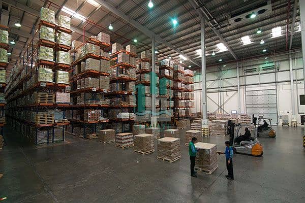 9 coolwarehouset. jpg