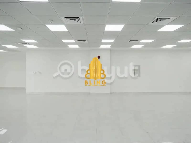 6 873431012-1066x800. webp
