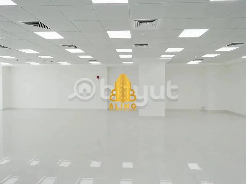 9 873431008-1066x800 (1). webp