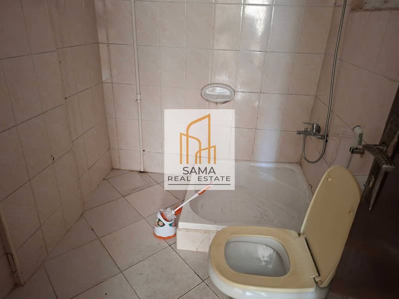 5 49978. jpg