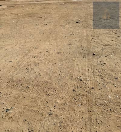 ارض سكنية للبيع في الزاهية، عجمان - WhatsApp Image 2026-09-07 at 9.10. 17 AM. jpeg ارض سكنية للبيع في الزاهية، عجمان - WhatsApp Image 2026-09-07 at 9.10. 17 AM. jpeg