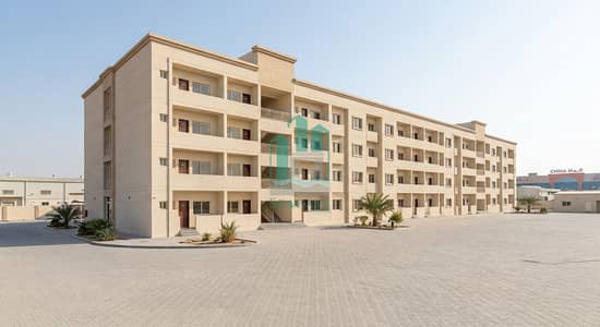 Labour Camp for Rent in Al Jurf, Ajman - Gemini_Generated_Image_fn2r69fn2r69fn2r. jpg