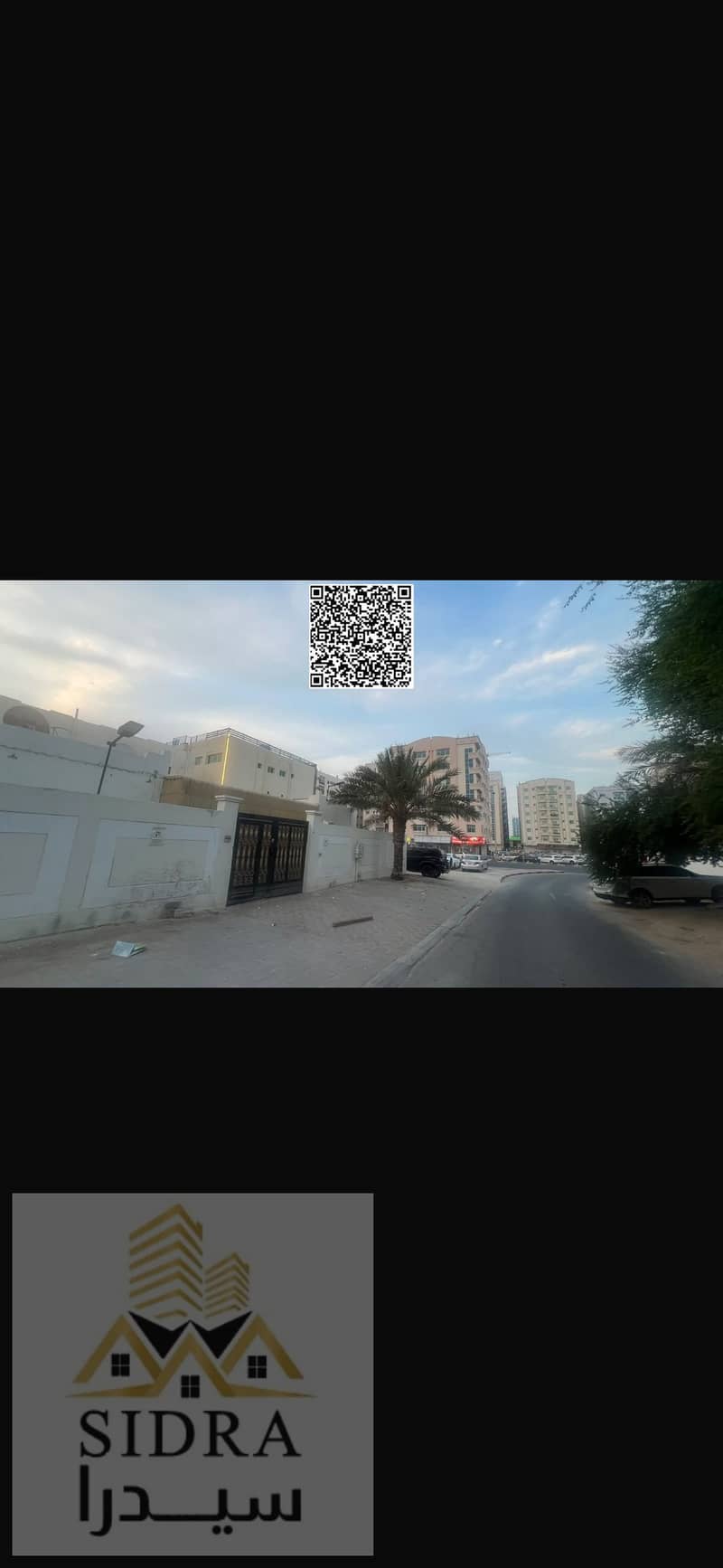 3 IMG_2555. png