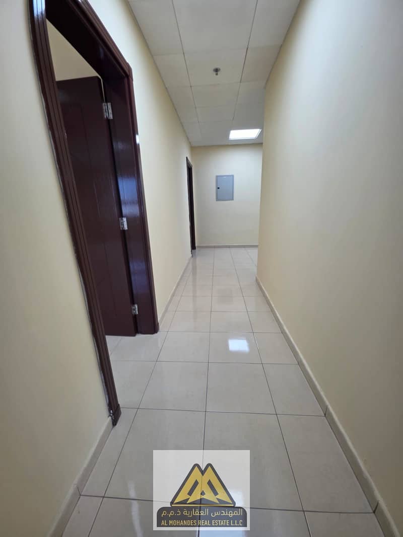 2 WhatsApp Image 2026-10-17 at 7.11. 23 PM. jpeg