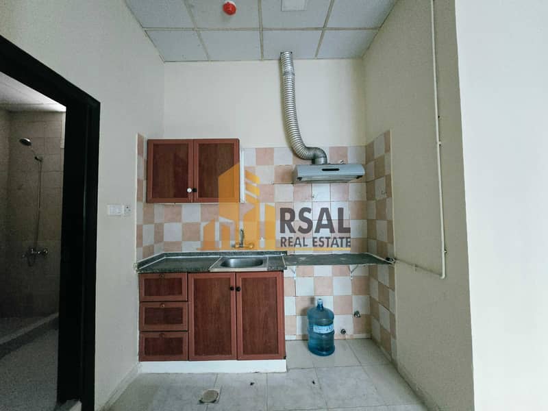 3 535203. jpg
