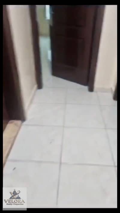 فلیٹ 2 غرفة نوم للبيع في المنطقة الحرة عجمان، عجمان - WhatsApp Image 2026-10-17 at 1.36. 16 PM. jpeg فلیٹ 2 غرفة نوم للبيع في المنطقة الحرة عجمان، عجمان - WhatsApp Image 2026-10-17 at 1.36. 16 PM. jpeg