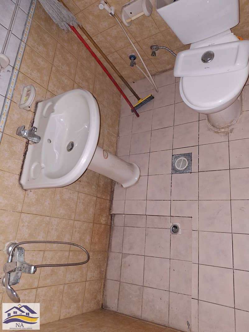11 20591. jpg