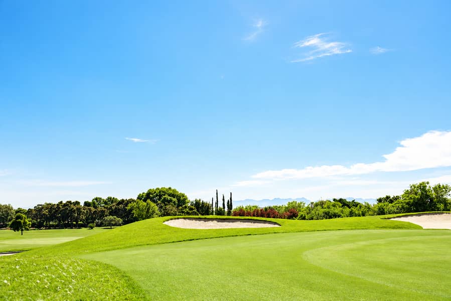 9 vista pic golf. png