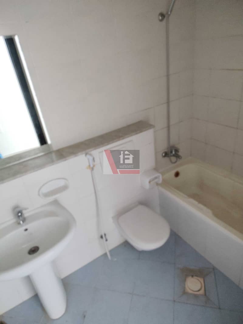 6 126532. jpg