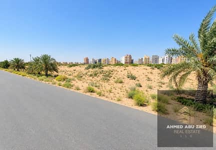 Plot zum Verkauf in Al Alia, Ajman - WhatsApp Image 2026-10-19 at 12.53. 00 PM. jpeg Plot zum Verkauf in Al Alia, Ajman - WhatsApp Image 2026-10-19 at 12.53. 00 PM. jpeg
