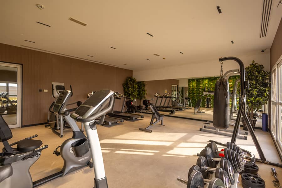 11 GYM3. jpg