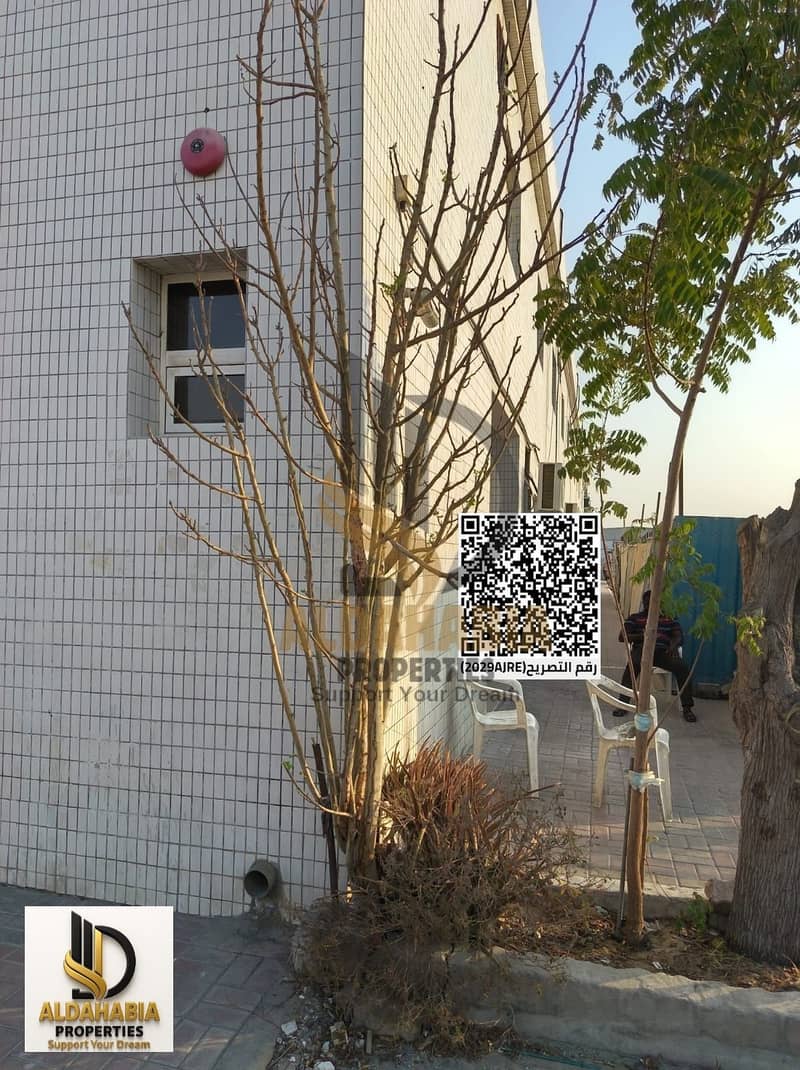 3 WhatsApp Image 2026-10-19 at 6.04. 15 PM. jpeg. png
