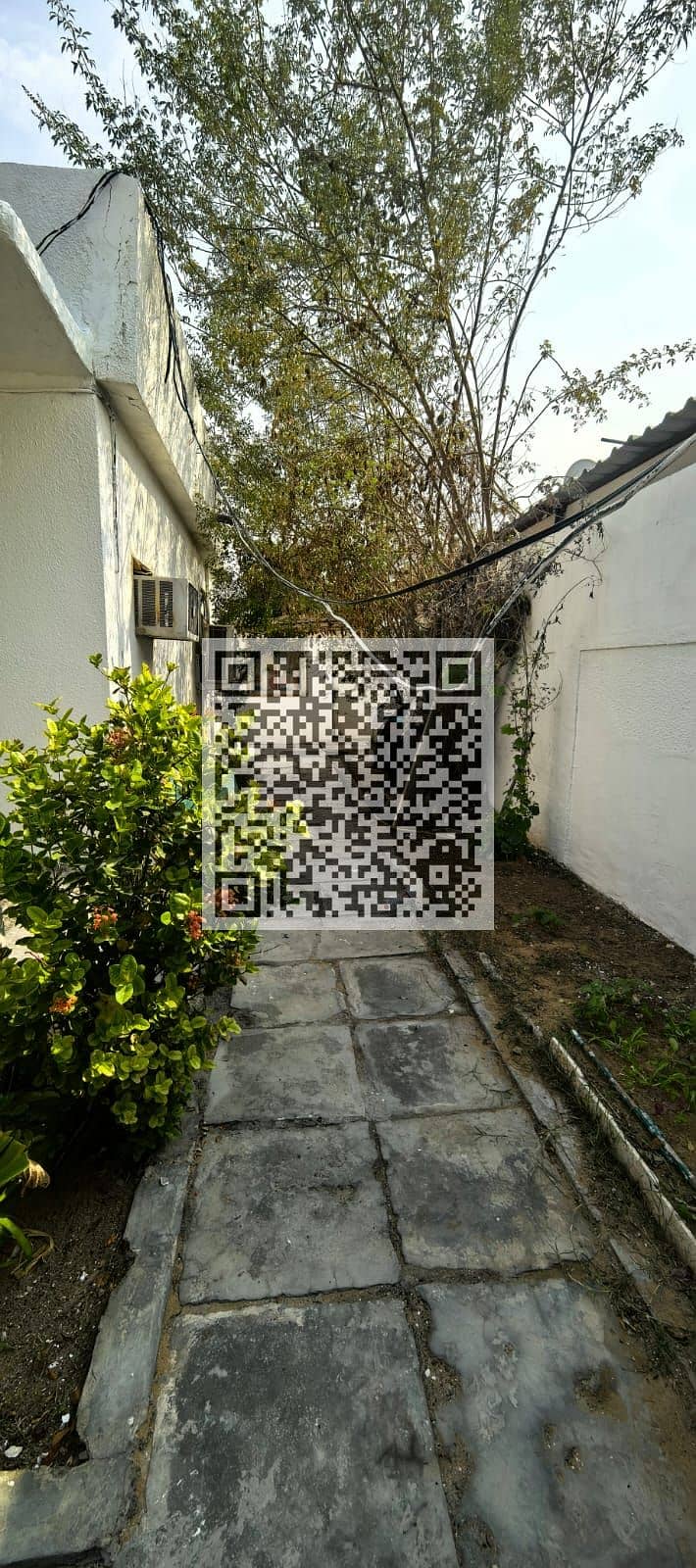 9 WhatsApp Image 2026-10-19 at 3.21. 26 PM (1). jpeg