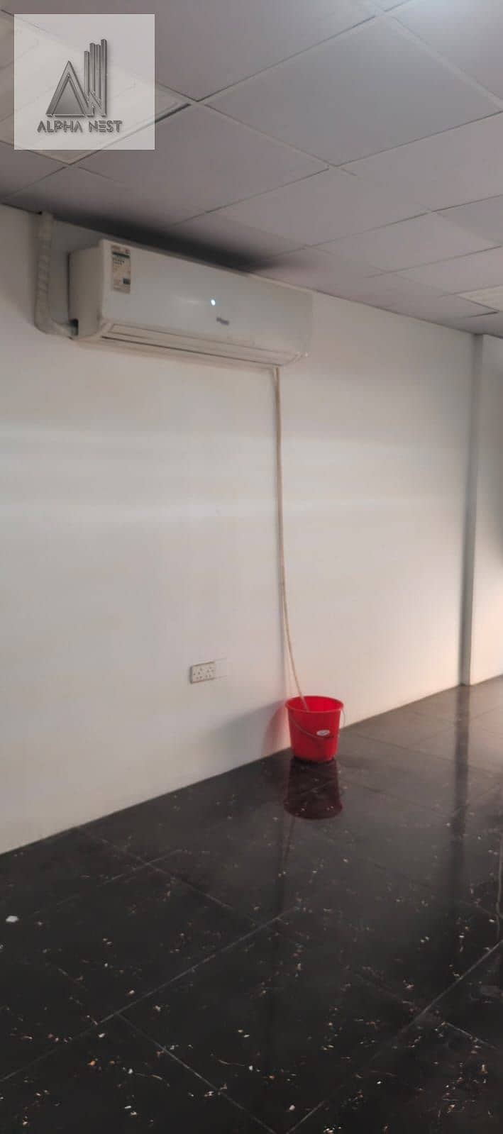 3 WhatsApp Image 2026-10-19 at 8.29. 45 PM (2). jpeg