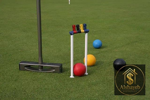 6 Modern_croquet_equipment. webp