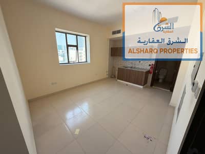 Studio de  à à louer à Corniche Ajman, Ajman - 1. jpg