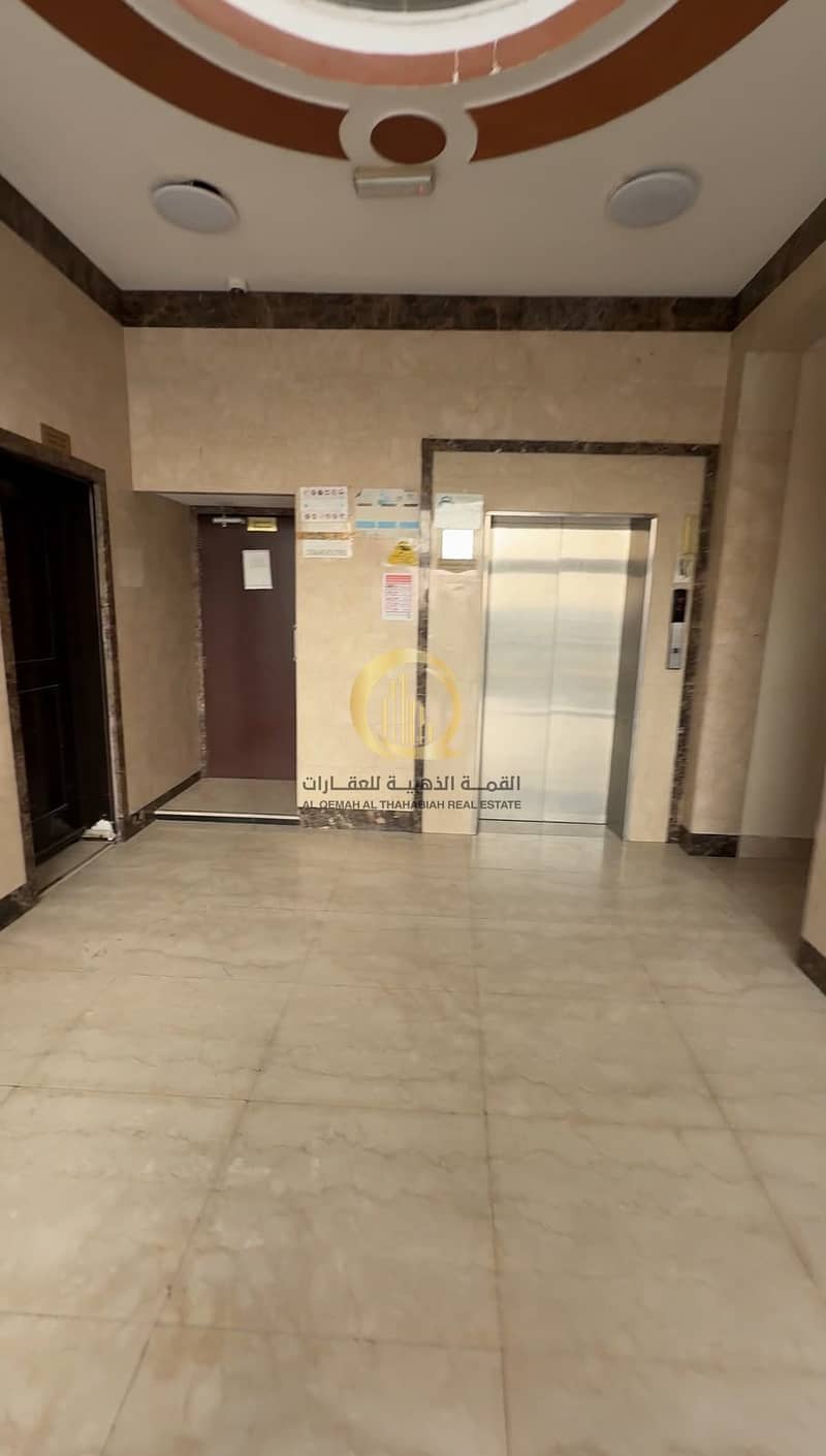 2 WhatsApp Image 2026-10-19 at 11.18. 36 PM (1). jpeg