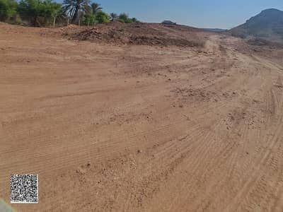 Plot para en Venta en Al Manama, Ajman - b0b0f47b-0e5e-459d-9a3a-d46f1f91d122 (2). jpg Plot para en Venta en Al Manama, Ajman - b0b0f47b-0e5e-459d-9a3a-d46f1f91d122 (2). jpg