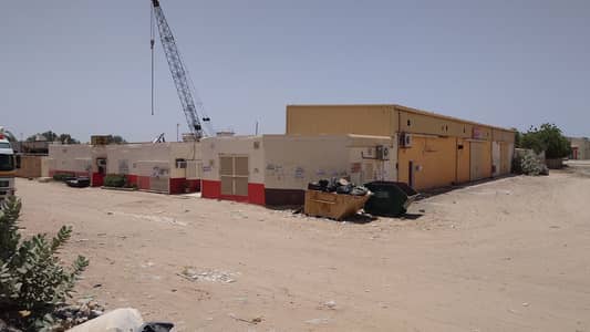 سكن عمال  للبيع في الصجعة، الشارقة - WhatsApp Image 2025-07-11 at 3.23. 52 PM. jpeg