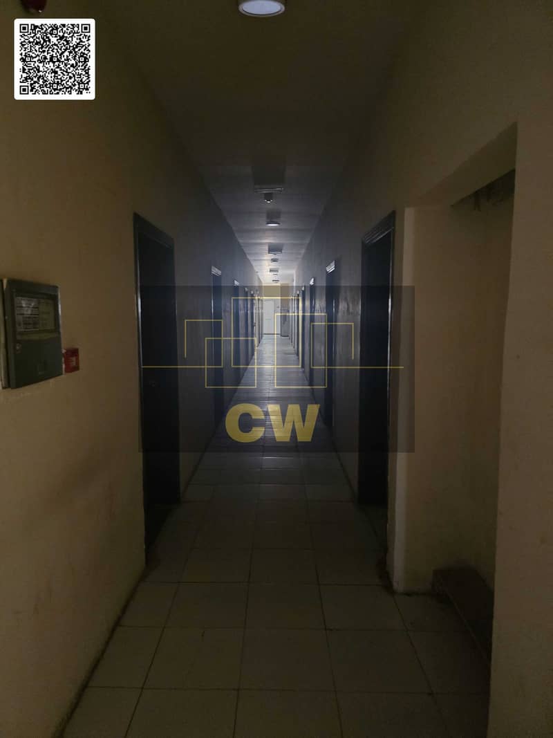 4 126243. jpg