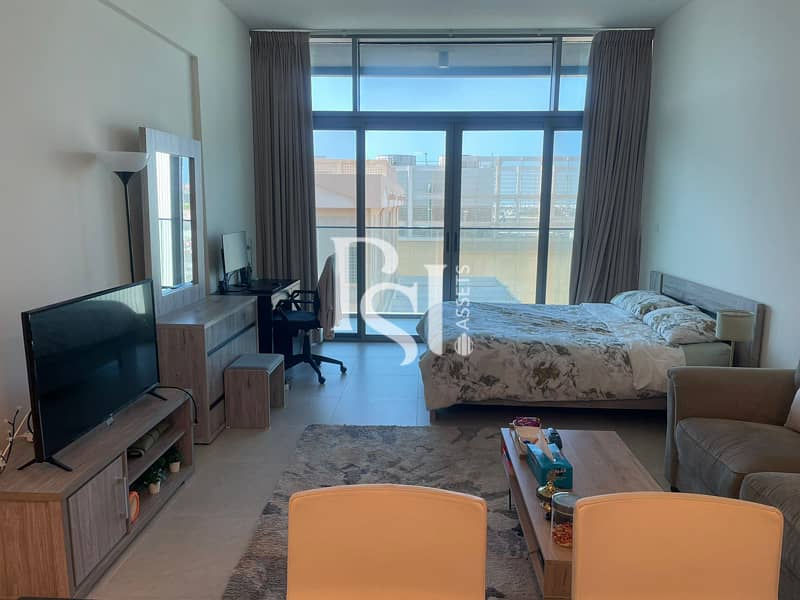 2 Studio_Park view_Saadiyat Island_Furnished (2). jpg