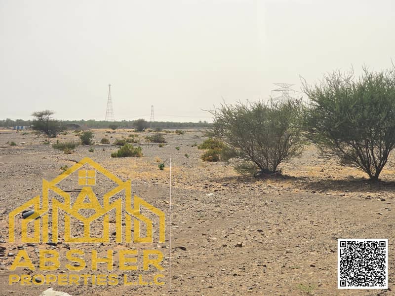 3 photo_03_with_qr. jpg