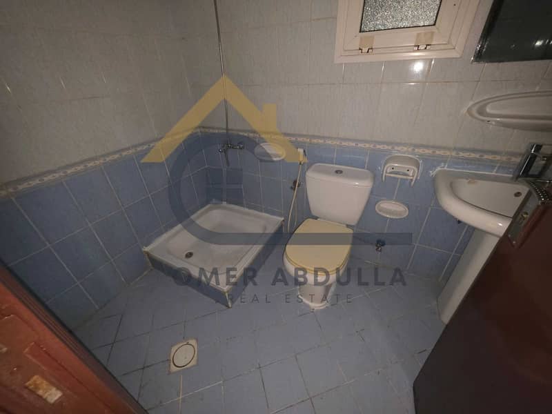3 641231. jpg
