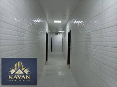 Labour Camp te Huur in Umm Al Thuoob, Umm Al Quwain - WhatsApp Image 2026-10-21 at 10.56. 36 AM. jpeg